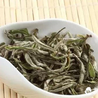 White Tea is More Than Just Precious! Rediscover White Tea and Perceive Its Elegance from the Heart