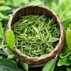 Characteristics of Teas Across the Four Seasons