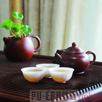 Pu-er: The Spring and Autumn in the Teapot