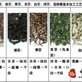 Debunking Misconceptions: Six Major Tea Categories, All Originating from Processing Techniques