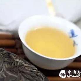 Is Spring Tea Better or Autumn Tea?