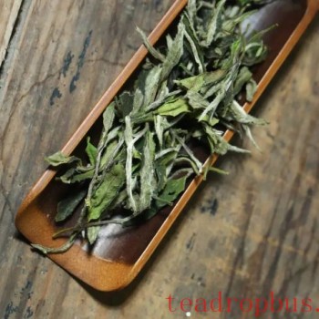 Indulge in White Tea When Summer Starts, and Heat Stroke Will Be the Least of Your Worries!
