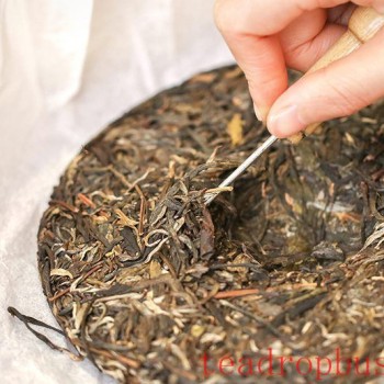 How to Brew Raw Pu-er Tea Cake: A Simple and Easy Guide