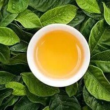 Want to Become More Beautiful? Choosing the Right Tea is Key