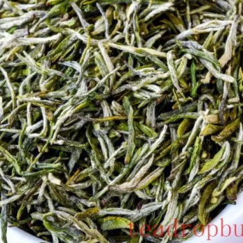 How to Identify the Characteristics of Xinyang Maojian Tea