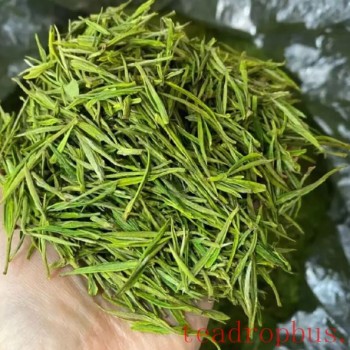 What is the tea-to-water ratio for brewing Huangjinya?