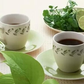Is Drinking Tea Beneficial for the Kidneys?
