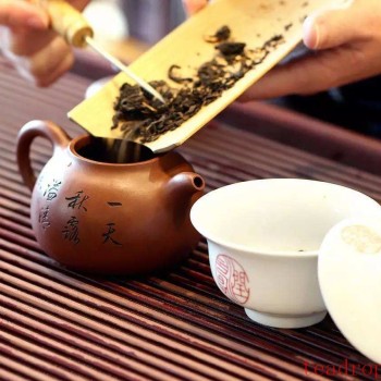 How Many Grams of Tea Should You Use for Brewing?