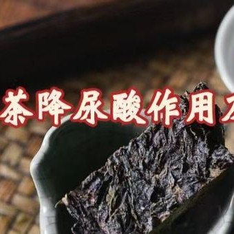 Academy Member Liu Zhonghua-s Team on the Uric Acid Lowering Effect and Mechanism of Anhua Dark Tea