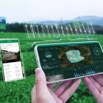 Research Progress on Intelligent Management of Tea Tree Planting