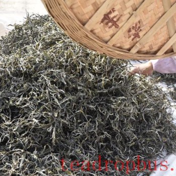 Zhang Family Team No. 3 2024 Spring Tea Prices