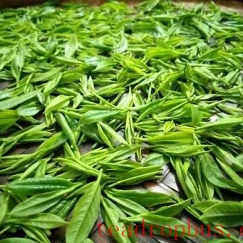 The Enduring Charm of Tea: Unraveling the Mysteries of "Qing" in Tea Leaves