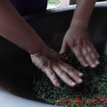 Exploring the Xishan Bailu Tea Processing Technique: Hands Never Leave the Tea in a 300-Degree Iron Wok
