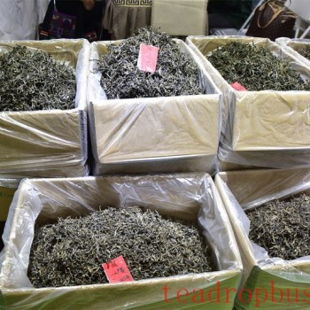 Drinking Tea, Savoring the Ecological Nuances of Where the Tea Trees Grow