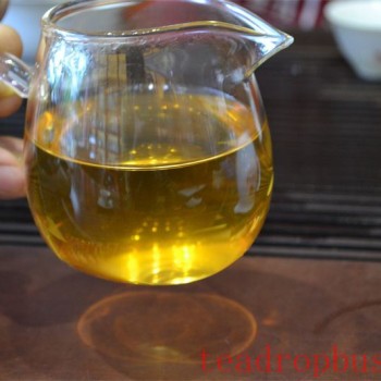 What Are the Benefits of Drinking Tea Regularly?
