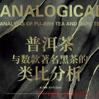 # Analysis of Pu-er Tea and Several Notable Dark Teas by Analogy