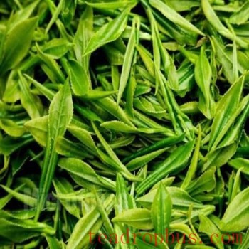 Shuicheng Spring Tea