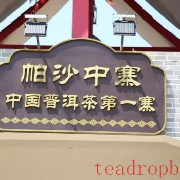 Lao Xu on Tea: The tea trees by the roadside in Pasha Zhongzhai are doing well, and the ancient tea trees in the tea garden have just sprouted!