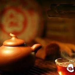 Five Essential Aspects to Get You Started on Dark Tea Appreciation