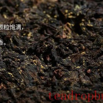 Black Tea Knowledge: Distinguishing Genuine from Fake Golden Flowers in Fu Brick Tea