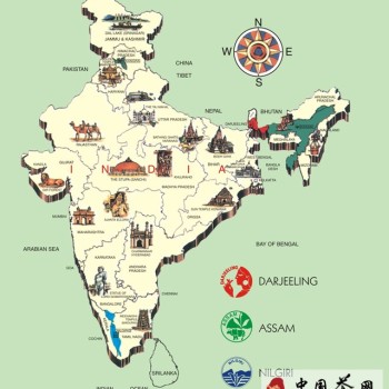 Zhang Jing: India's Three Major Black Teas