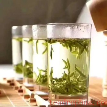 Which groups of people should drink less tea?