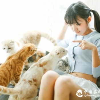 Shocked! This is the Secret of Women Who Drink Tea!