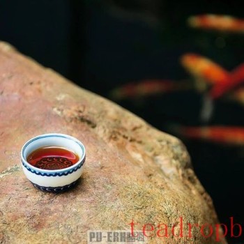 Reject These Five Types of Ripened Pu-er Tea!