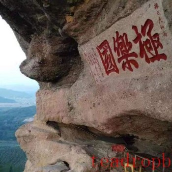 A Thousand-Year Cup of Tea —— The Indissoluble Bond Between Wuyi Rock Tea and Buddhism