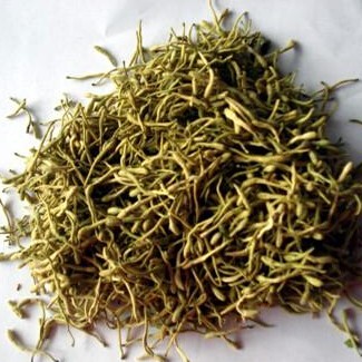 How to Pair Honeysuckle Tea and Its Benefits