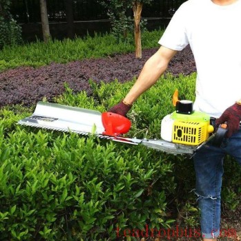 Jiangxi Province-s Key Agricultural Technology for 2025: Green Pest Management Techniques for Tea Diseases and Pests