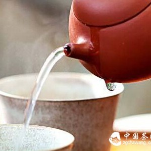 It's Time to Learn About Tea丨Tea Polyphenols: "Mistress" Scavenger