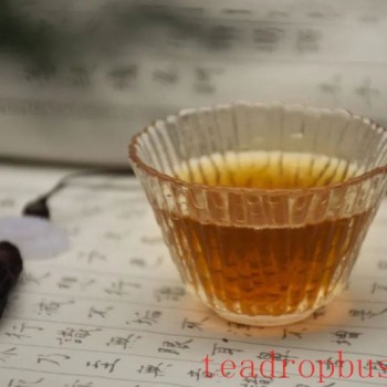 Standing in Autumn, Savoring the Fall Tea: A Single Leaf Carries the Essence of Autumn