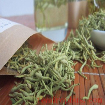 Fengqiu Honeysuckle