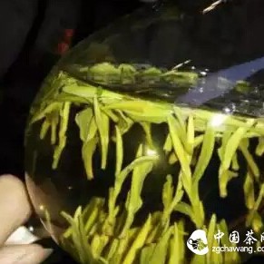 Why Do You Sometimes Feel Dry Mouth After Drinking Tea?