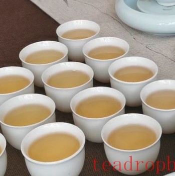 Can Tea Replace Water?