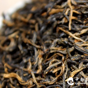 Can tea with 'tea insects' still be consumed?
