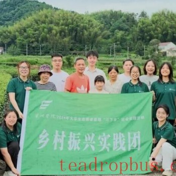 Summer "Three Rural Areas" Campaign: Boosting Rural Revitalization Amidst the Tea Culture