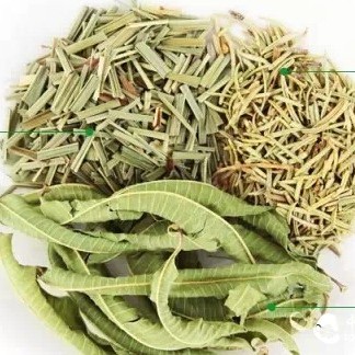 14 Homemade Weight Loss Herbal Teas to Easily Drink Your Way to a Good Figure