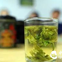 Longjing Tea, Must Pay Attention!!