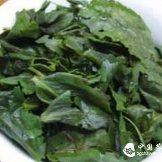 Tieguanyin: Beauty, Weight Loss, Anti-aging, Socializing and Mood Enhancement