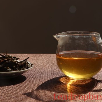 Puer Raw Tea: Is Aged Better or Fresh?