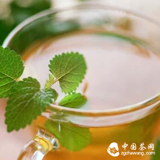 Body-Fat Burning & Weight Loss Tea: Flush Out Toxins & Feel Light Again