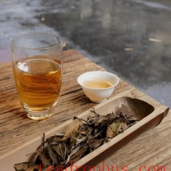 The Secrets of Shoumei: The Delicate Relationship Between Stems and Quality
