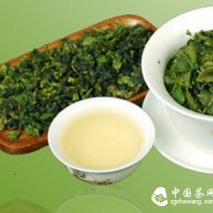 Experiencing the Tea Culture of Southern Fujian