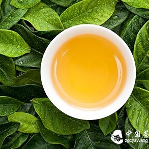 Tea: The Darling of Medical Healthcare