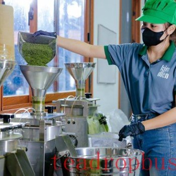 Vietnam Enters the Matcha Market