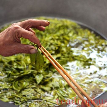 The Sour Tea of Jingmai Mountain: How Elaborate is its Preparation?