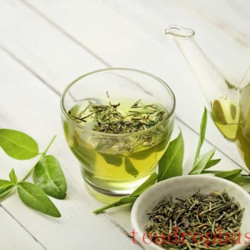 The Best Way to Brew Green Tea with Tea Ware: A Great Cup of Tea Starts Here