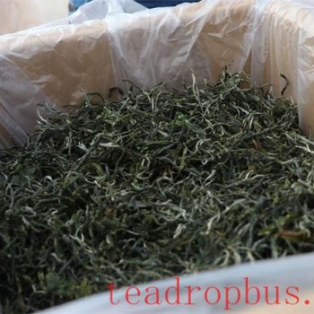 How to Select Tea When Buying?